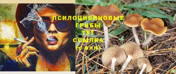 марки lsd Корсаков